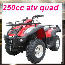 Prix ​​atv 250cc bon marché